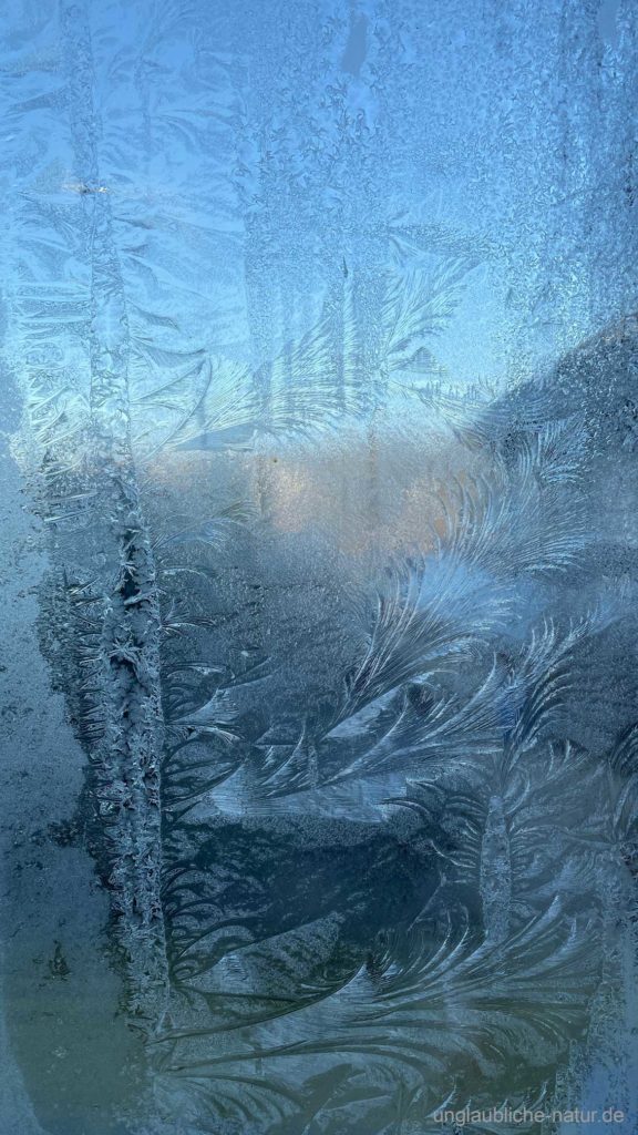 Der Blick durch eine vereiste Glasscheibe im Winter