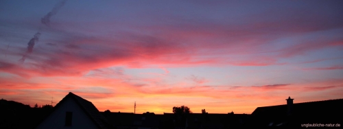 Panorama - Wunderschöner Sonnenuntergang über Häuserdächern